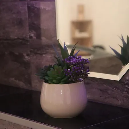 아파트 Renovated With Jacuzzi In 노비사드